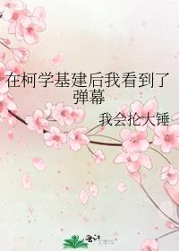 在柯学基建后我看到了弹幕免费阅读